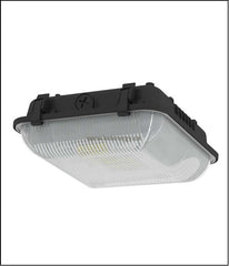 LED Canopy Series - 30W LED Canopy Lamp, 120-277V DLC Qualified
